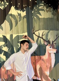 Bolly🇲🇾🇹🇭 - Acompañantes masculino in Bangkok Photo 6 of 7
