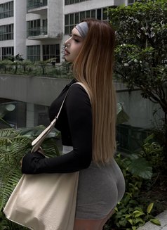 Bombshell almira / party girly 🇵🇭/🇸🇬 - Transsexual escort in Phuket Photo 15 of 16