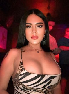 Bomsex (exelent service) - Transsexual escort in Bali Photo 8 of 8