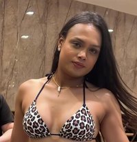 Boni Roy - Transsexual escort in Kolkata