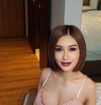 Bonita Cute Hot Ts - Transsexual escort in Kuala Lumpur