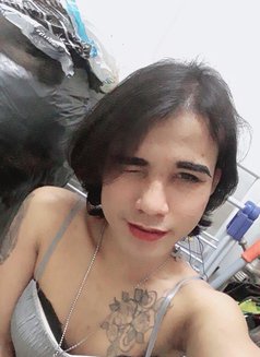 Bonus Ladyboy Mabellah - Transsexual escort in Muscat Photo 3 of 5