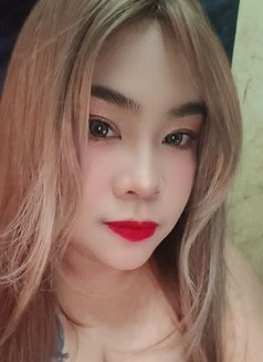 BOOBSY AND SOLID SQUIRTER - escort in Manila Photo 27 of 27