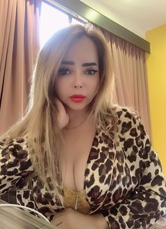 SWEETY BUSTY Girl Landed - escort in Ipoh Photo 17 of 28