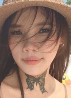 Boom - escort in Chiang Mai Photo 3 of 4