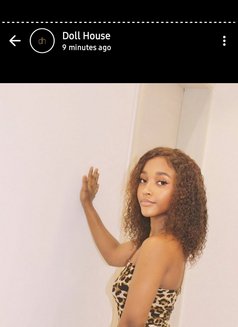 Bosslady Agency - escort agency in Nairobi Photo 3 of 3