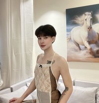 Bot - Male escort in Riyadh