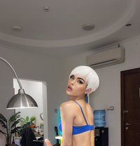 Both Ass Tight Big cock & long - Acompañantes transexual in Al Manama