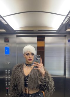 Both Ass Tight Big cock & long - Acompañantes transexual in Al Manama Photo 26 of 27