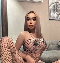 (Both) Bella Ladyboy VIP - Acompañantes transexual in Muscat