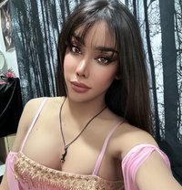 (Both) Bella Ladyboy VIP - Transsexual escort in Riyadh