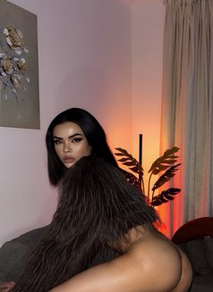 Both Big cock & long - Acompañantes transexual in Al Manama Photo 22 of 28