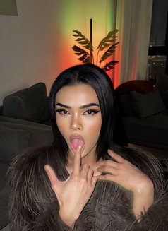 Both Big cock & long - Acompañantes transexual in Al Manama Photo 25 of 28