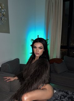 Both Big cock & long - Acompañantes transexual in Al Manama Photo 26 of 28