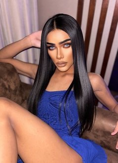 Kylie 🇹🇭 Bigdick top both bottom 69 - Transsexual escort in Al Manama Photo 10 of 13