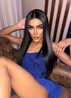Kylie 🇹🇭 Bigdick top both bottom 69 - Acompañantes transexual in Al Manama Photo 11 of 13