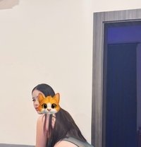 Both chubby shemale🇹🇭🇸🇦 - Transsexual escort in Dammam