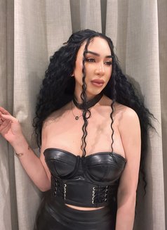 Both, good top ,big , good rimming - Acompañantes transexual in Riyadh Photo 6 of 9