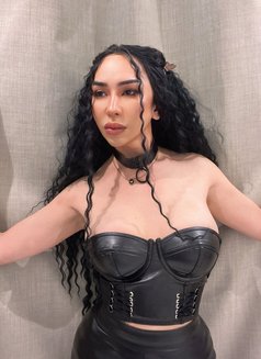 Both, good top ,big , good rimming - Acompañantes transexual in Riyadh Photo 8 of 9