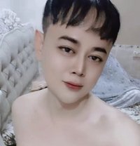 Both - Acompañantes transexual in Doha