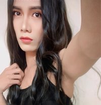 Both - Transsexual escort in Doha