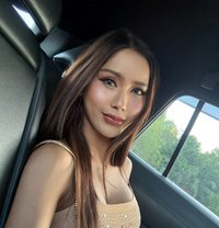 Botiga - Acompañantes transexual in Phuket