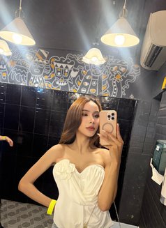 Botiga - Transsexual escort in Phuket Photo 15 of 16