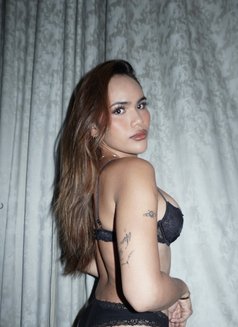 Versa Dreamy Lady Boy - Cums a lot - Acompañantes transexual in Dubai Photo 9 of 11