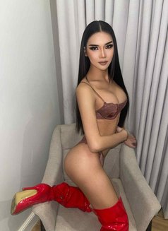 Bottom & Top Lady Boy Amma - Transsexual escort in Al Manama Photo 6 of 10