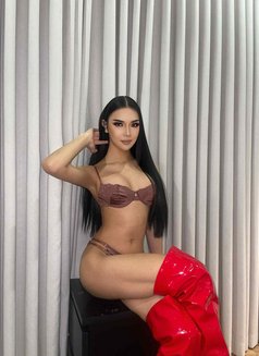 Bottom & Top Lady Boy Amma - Transsexual escort in Al Manama Photo 10 of 10