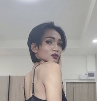 Bow Meena - Acompañantes transexual in Pattaya