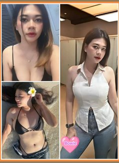 Bowie Thai Girl - escort in Kuala Lumpur Photo 1 of 2