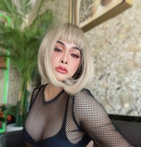 Bowvy both - Transsexual escort in Riyadh