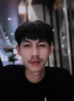 Bird - Male adult performer in Bangkok Photo 1 of 10