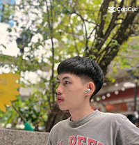 Bird - Male adult performer in Bangkok