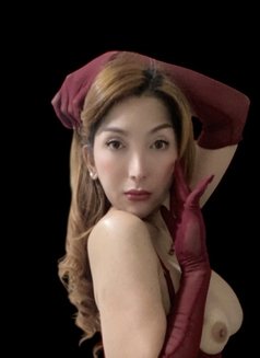Break my ass not my heart - Transsexual escort in Taipei Photo 19 of 26
