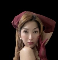 Break my ass not my heart - Transsexual escort in Taipei