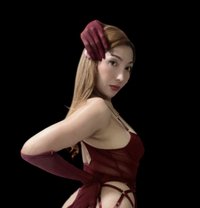 Break my ass not my heart - Transsexual escort in Taipei
