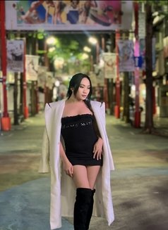 Bree Bella - Acompañantes transexual in Manila Photo 19 of 21