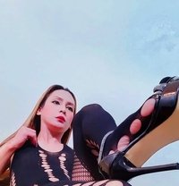 BRENDA 8inch - Transsexual escort in Macao