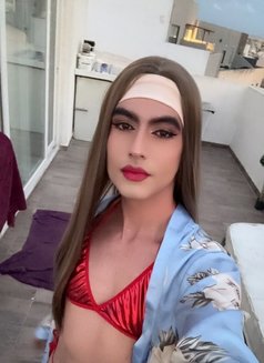 Brenda - Acompañantes transexual in Malta Photo 6 of 6