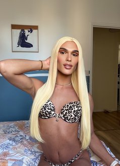Brenda Salope - Transsexual escort in Nicosia Photo 2 of 13