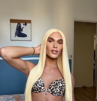 Brenda Salope - Transsexual escort in Al Manama