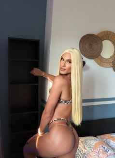 Brenda Salope - Transsexual escort in Nicosia Photo 3 of 13