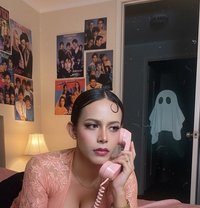 Brenda Vee - Transsexual escort in Kuala Lumpur