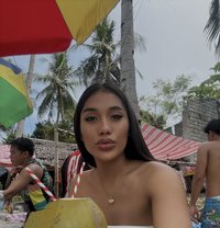 Breyhottie - Acompañantes transexual in Cebu City