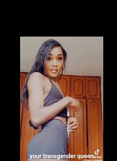 Brhandy - Acompañantes transexual in Nairobi Photo 1 of 5