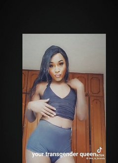 Brhandy - Acompañantes transexual in Nairobi Photo 2 of 5