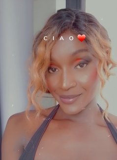 Brhandy - Acompañantes transexual in Nairobi Photo 12 of 12