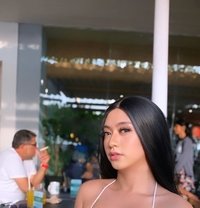 MODEL’S SUCKER - Transsexual escort in Bangkok